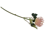 Planta ornament de plastic floare de Ciulin