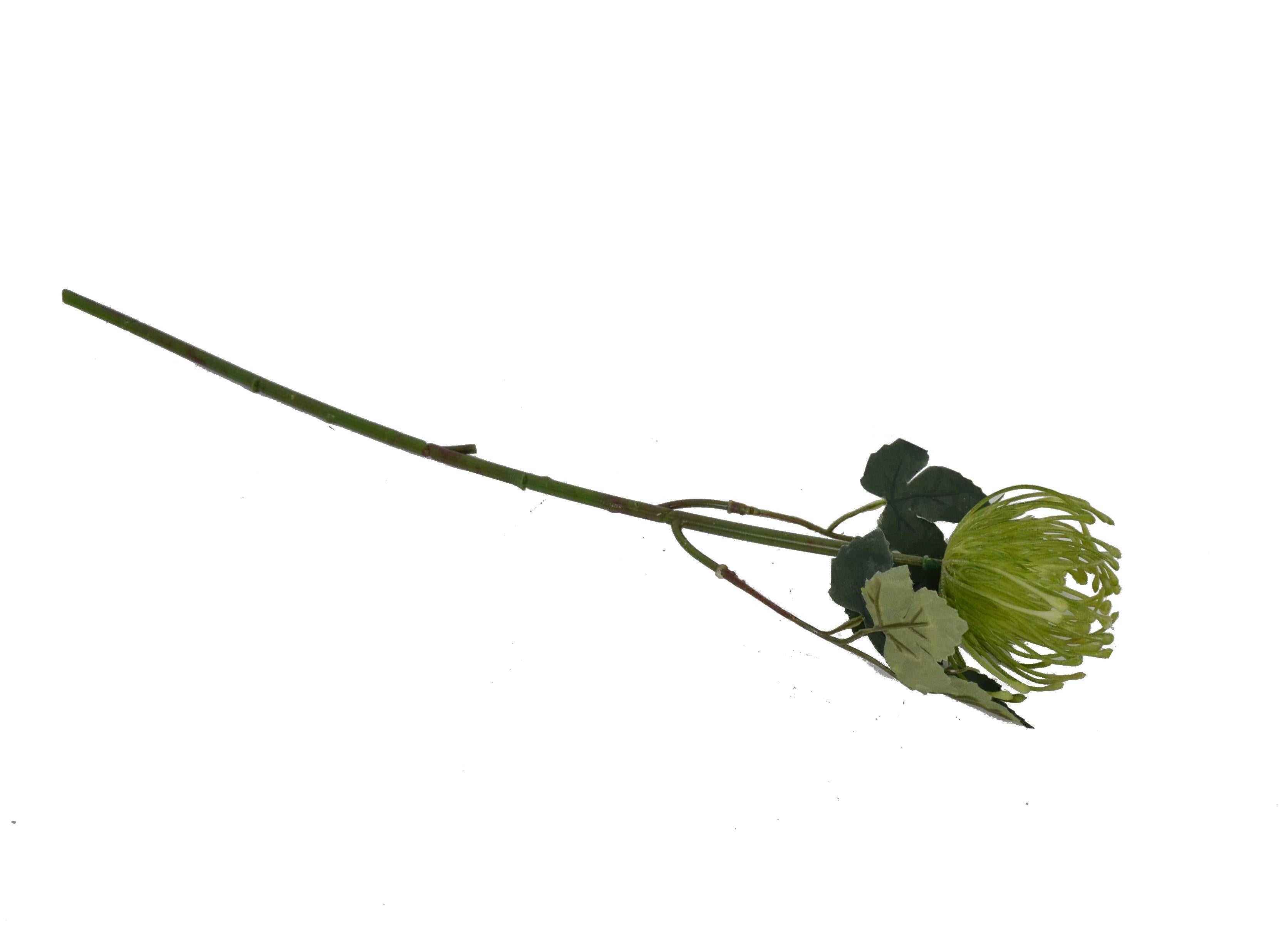 Planta ornament de plastic floare de Ciulin